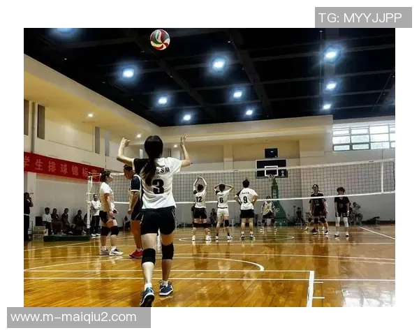 深圳排球队荣登全国排球灵活性排行榜首位展现卓越实力与团队协作 深圳排球队荣登全国排球灵活性排行榜首位展现卓越实力与团队协作