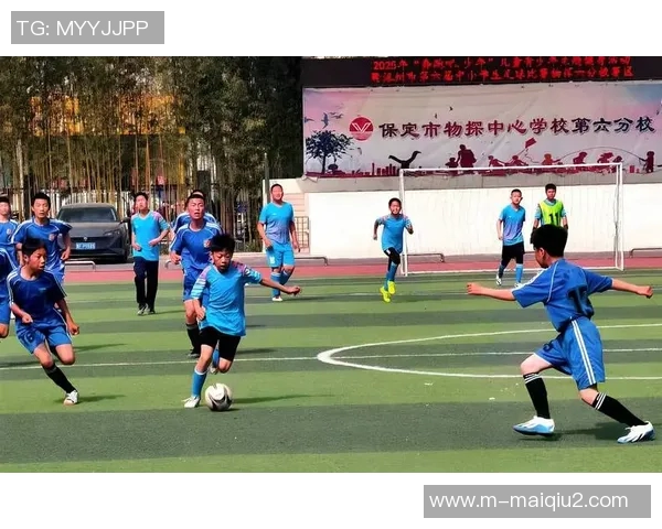 刘芳畅谈篮球生涯与欧冠足球的精彩交汇与感悟