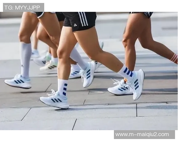 极限运动装备选购指南推荐优质防护垫确保安全与舒适体验