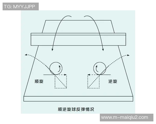 杨丽独家分享乒乓球技巧与心得助你提升球技的秘密大公开实时数据