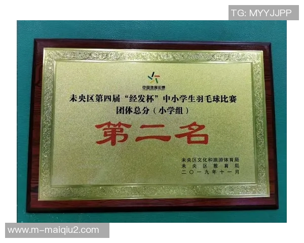 西安羽毛球队个人能力排名创新高展现强劲实力与潜力实时数据 西安羽毛球队个人能力排名创新高展现强劲实力与潜力实时数据