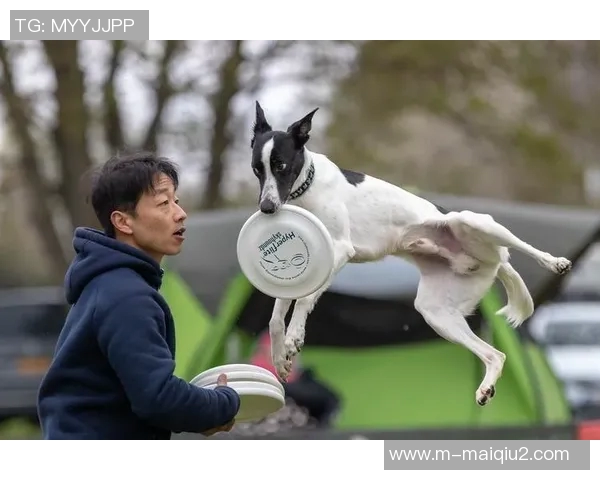 运动数据南京飞盘队与成都飞盘队赛后状态分析与复盘总结 运动数据南京飞盘队与成都飞盘队赛后状态分析与复盘总结