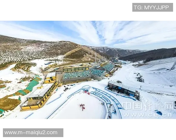 今年运动数据重庆足球队的节奏探秘从历史到未来的全景分析与展望 今年运动数据重庆足球队的节奏探秘从历史到未来的全景分析与展望